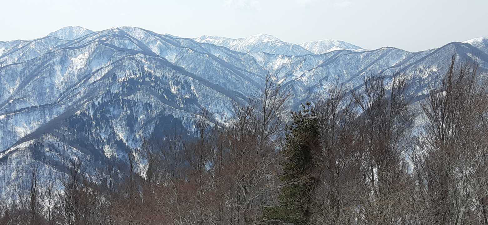 藤倉　(奥に)丈競山