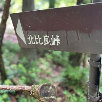 もう少しで峠