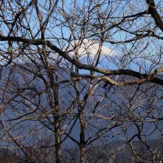 大山山頂より望む富士山