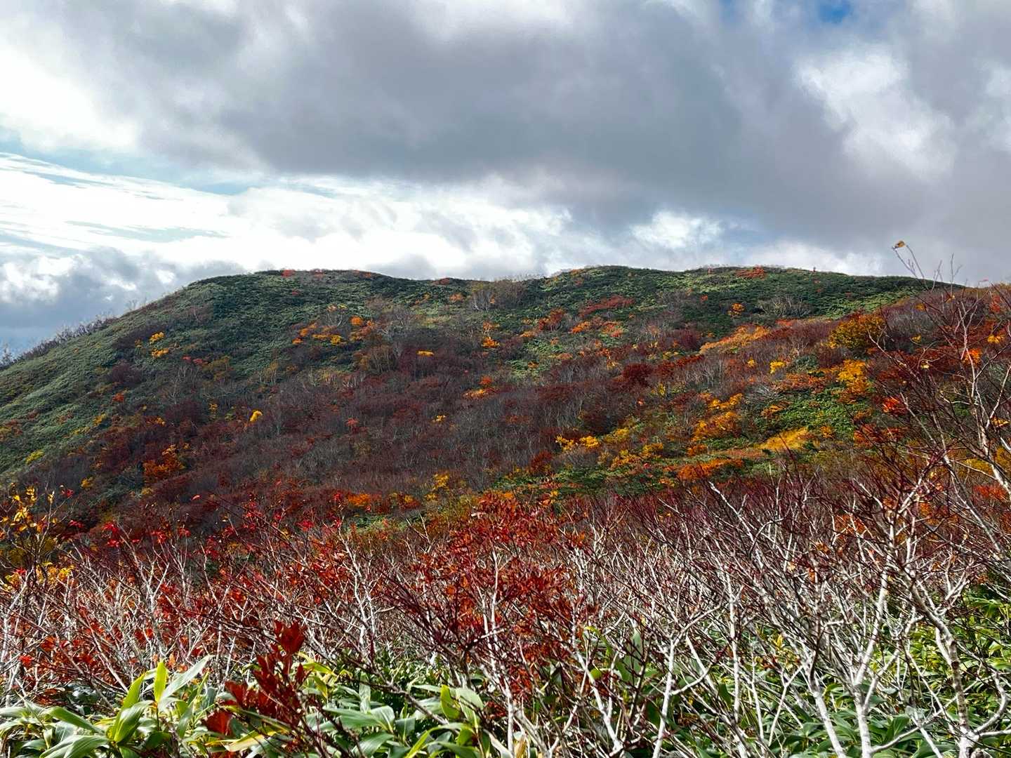 紅葉パッチワークはまだ残ってました。