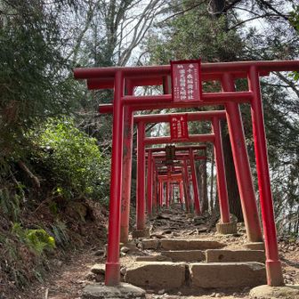 なるべく目を開けずに登る。
薄く目を開けて登る。
↑↑↑本日の目標です。