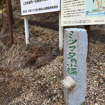 平日だしピークも過ぎたので1番近くの駐車場に停められました🚗
この石柱にくっついたオブジェがとても気になる😁