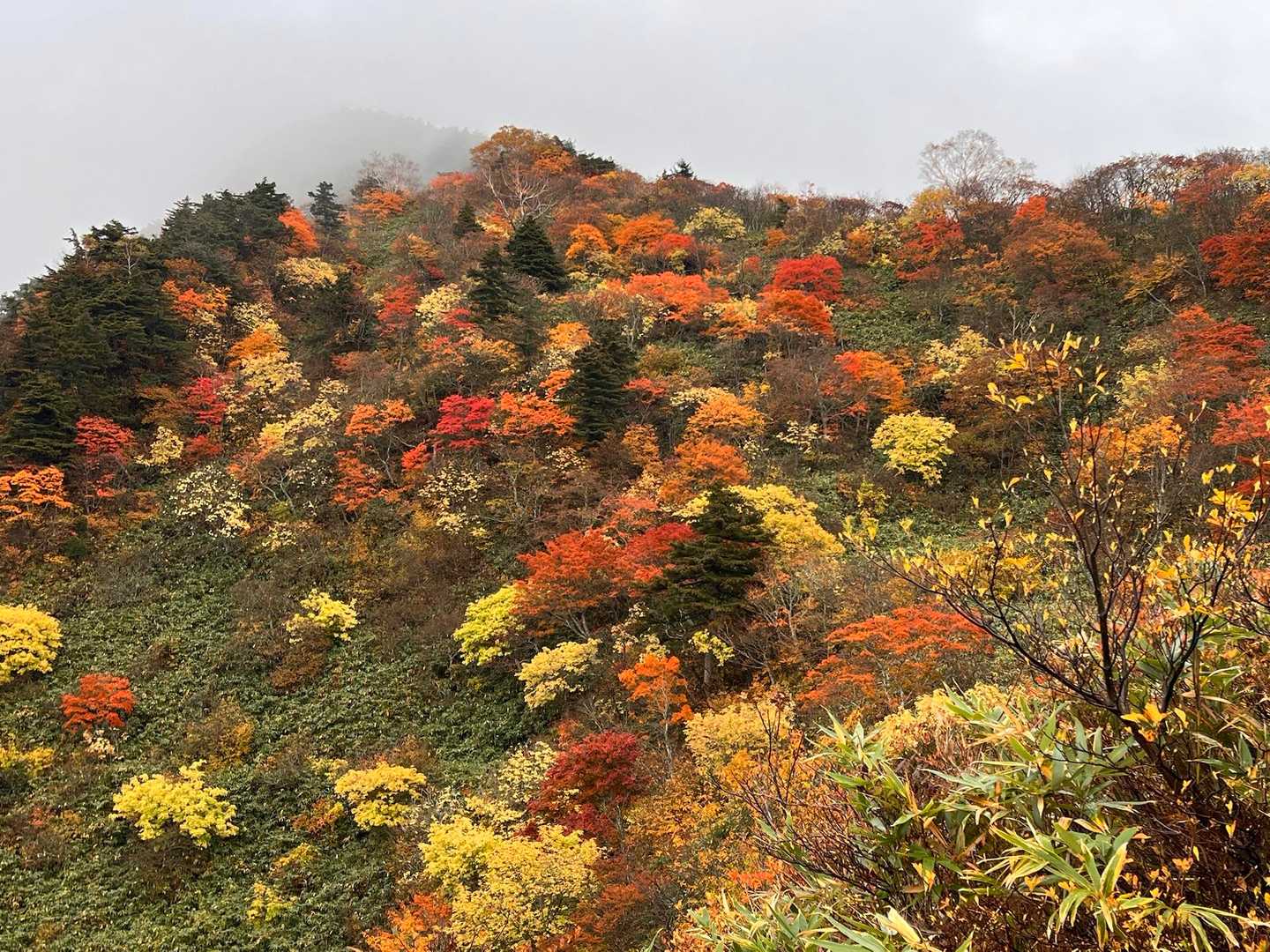 綺麗だもん🤩