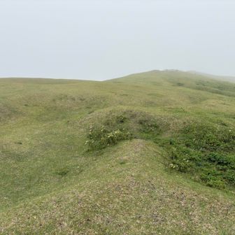 この辺が山頂のようなんですが、
何も無し！😅