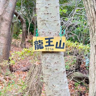 龍王山321m到着🙌