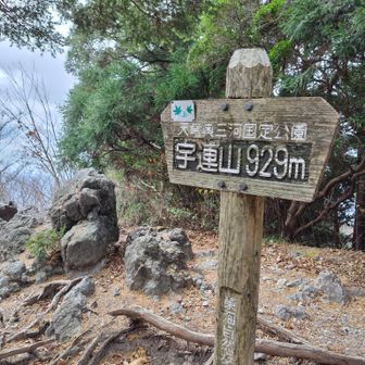 着きました。ここまでと、帰りも誰とも会わない一人の山歩き。