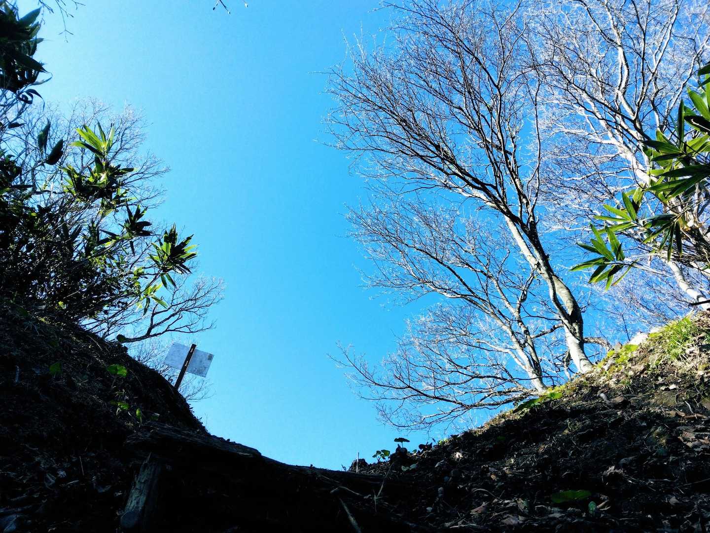 登山口から一気に分岐まで登る💦
右に行けば女峰山頂
まずは左の男峰へ向かう💨