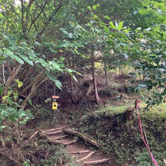おつかれ山です