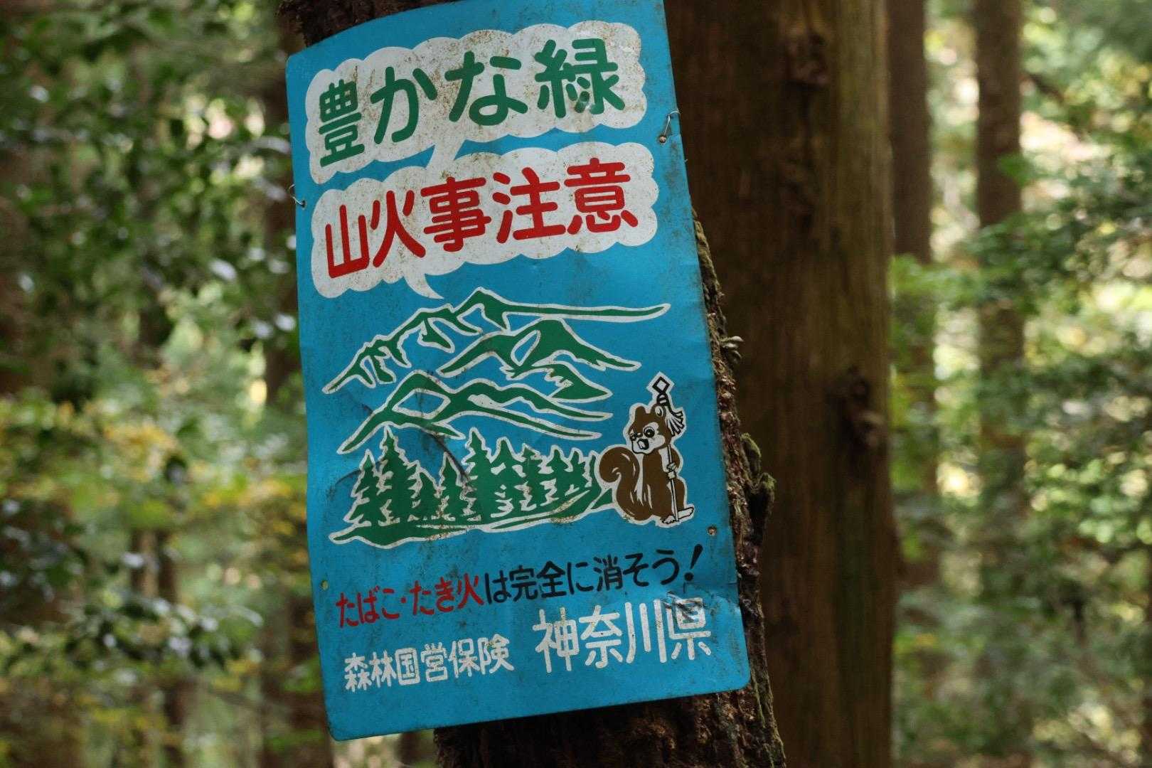 🐿️