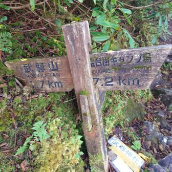 分岐点です。一旦剣ヶ峰へ向かいます🚶