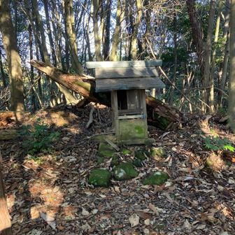 祠が現れました。
つまり、ここが山頂か？