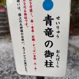最後は青竜の御柱。

ここは…肝機能の改善🙏
実際いちばんここが切実笑。