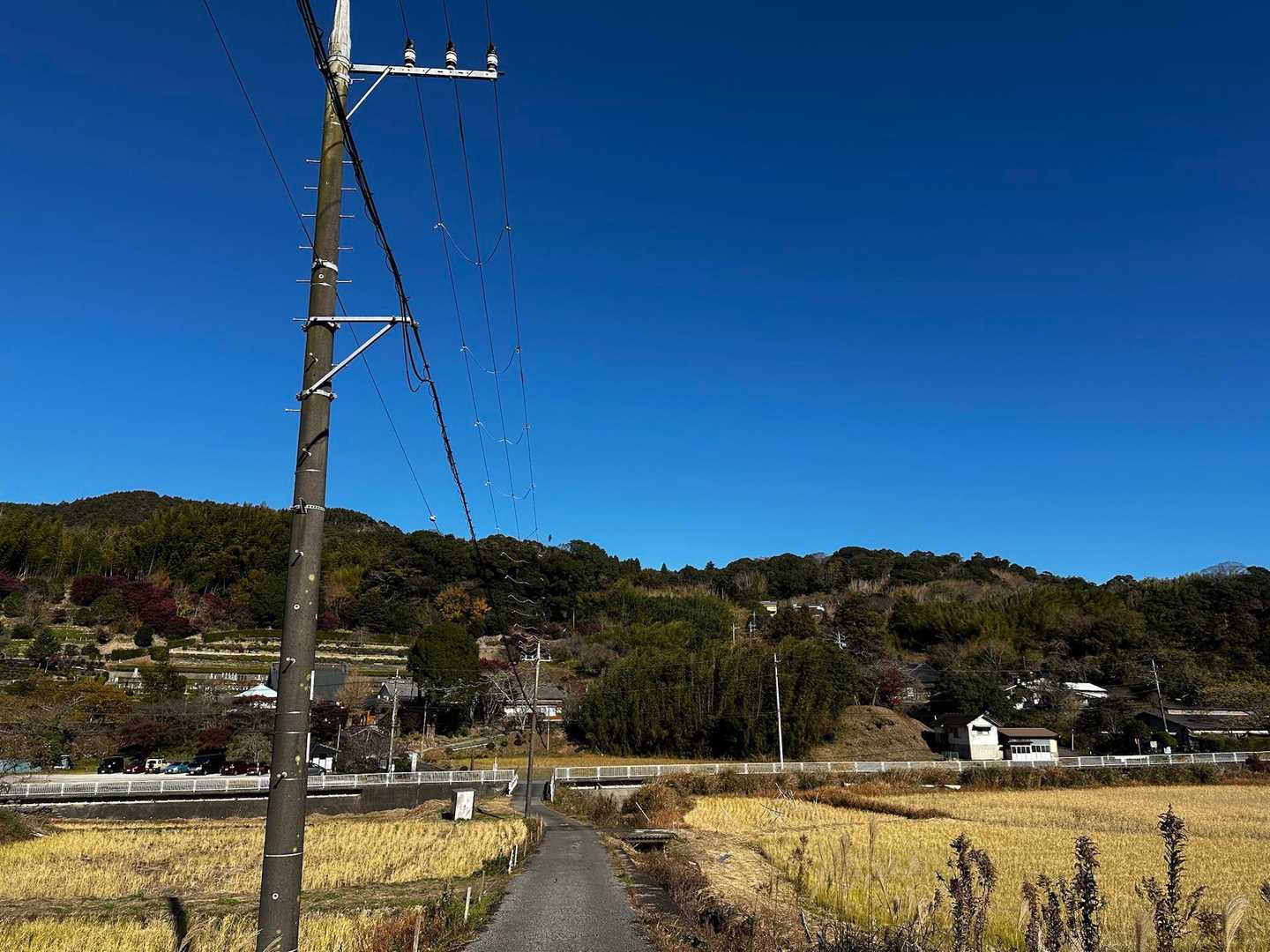 大黒様-御殿山-鷹取山-宝篋塔山 往復コースの写真