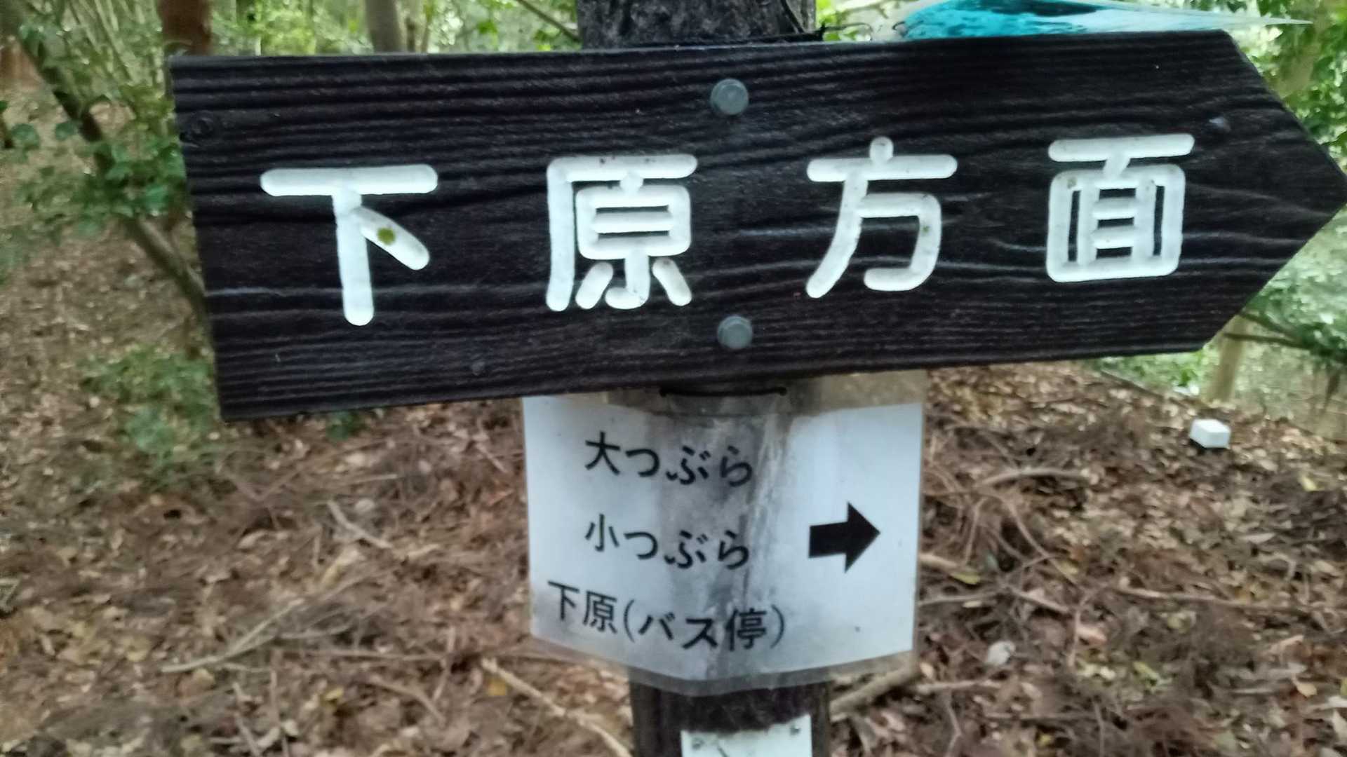 ここから右折すると大つぶらや小つぶらへ行く

今回は行かず