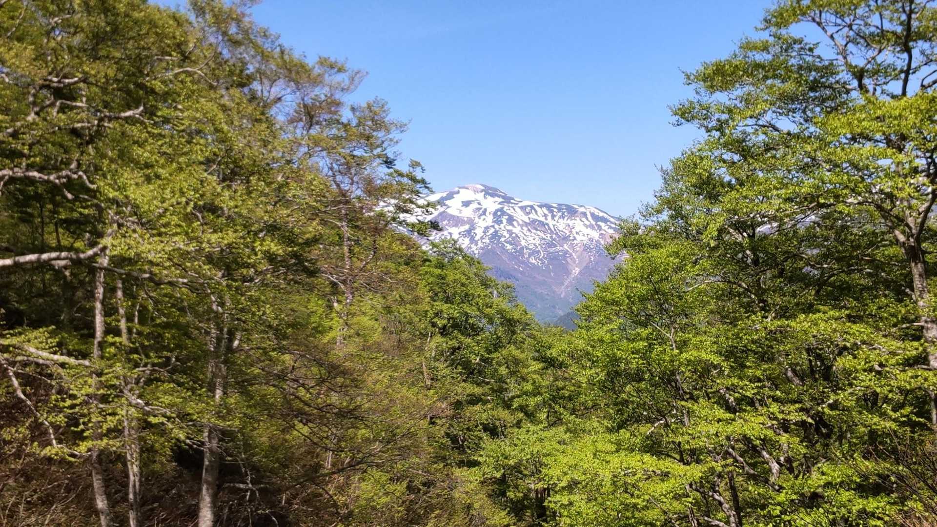 小原峠-赤兎山 往復コースの写真