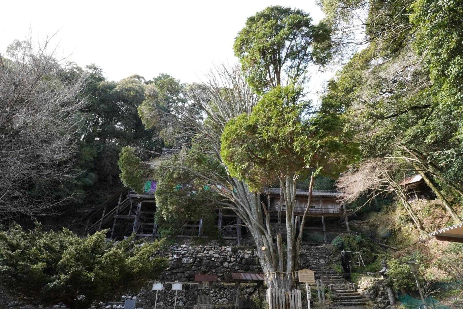 高沢山 往復コースの写真