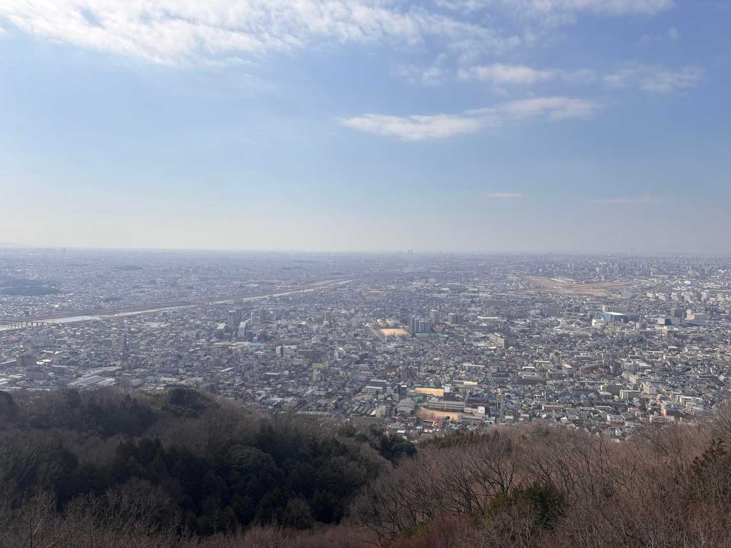 かしわら水仙郷-高尾山 周回コースの写真