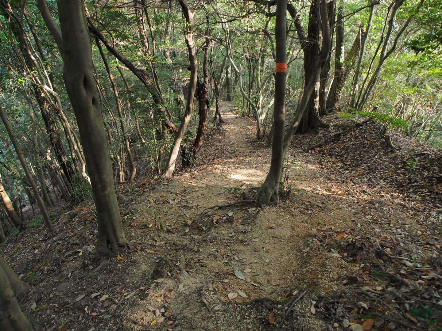 砂の急坂を滑りながら下る。楽しい😊
