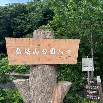 立派な看板にゃ〜😽