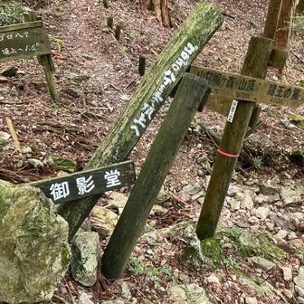 朝来た分岐に戻ってきました