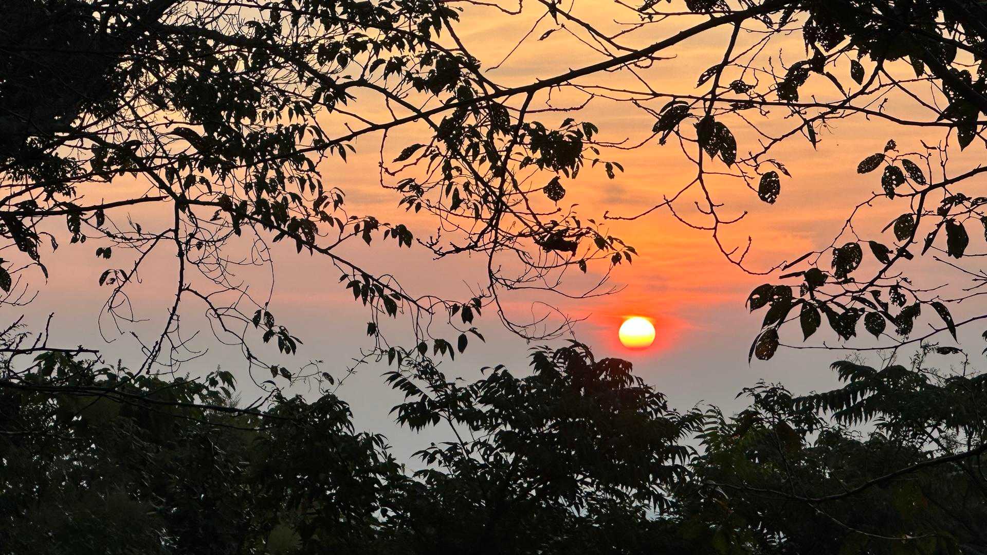 白岩寺山からの朝日☀️
