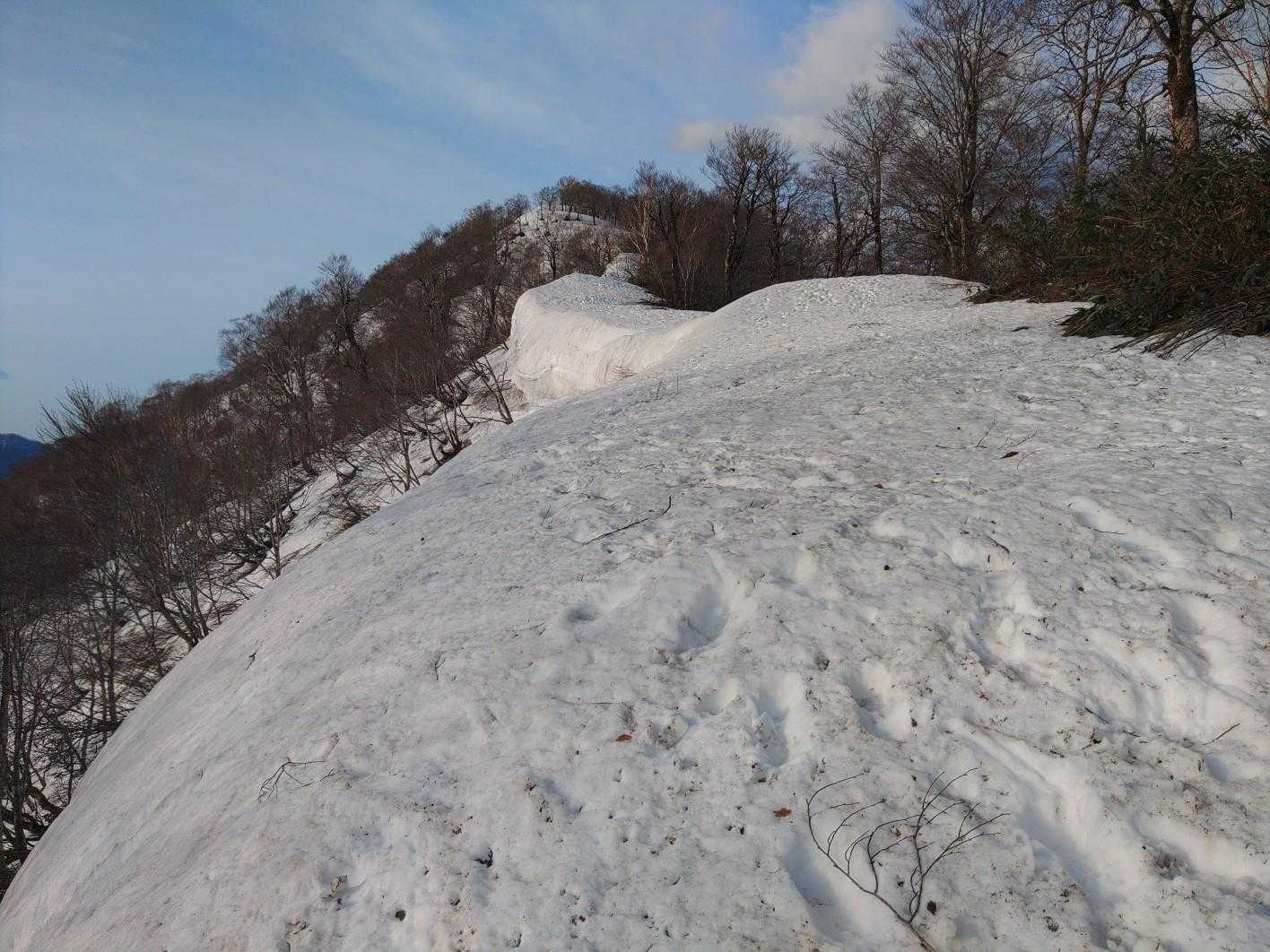 奥裾花自然園入口-今池湿原入口・中西山登山口-中西山-東山 往復コースの写真