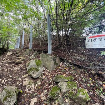 👈ここを左で山頂へ
