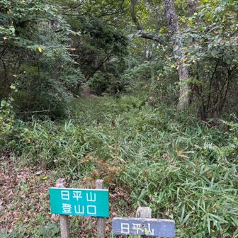 日平山を進んでここに出た
ここの山々たちは林道でつながってる~

4座回収して今からかの林道を歩いて車のとこに
一旦戻ってそしてこの先にあるｸﾞﾚﾋﾟを回収する

そんな歩き方をじぶ🏯さんがしてたので
真似してみようと
3kmくらいありそうやけど
今日は風もあって気温も何度か見るの忘れたけど‥涼しい