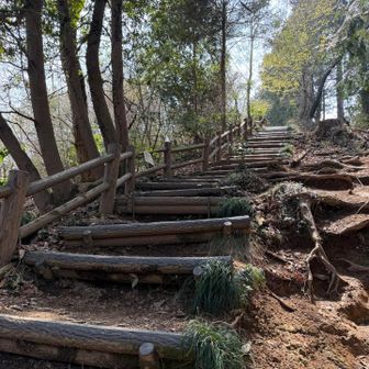 意外にも階段多し