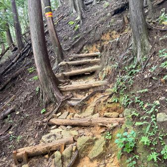 遠足尾根も補修されてた
