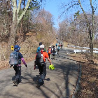 テクテク車道歩き
