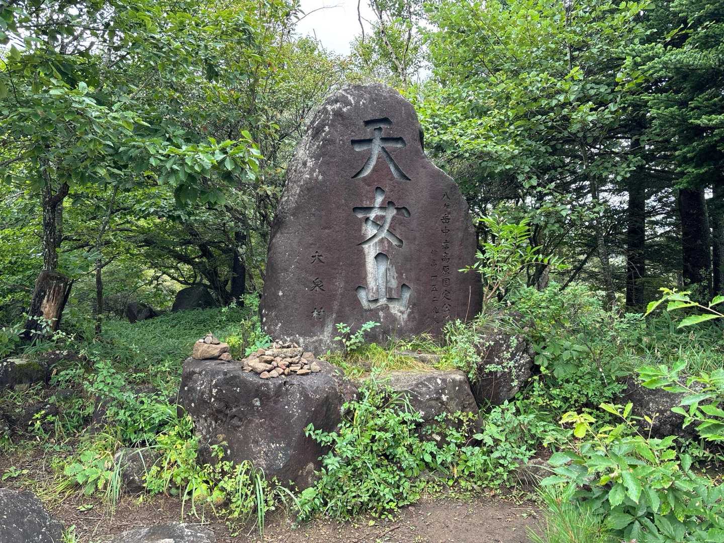 天女山登山口-天女山-天ノ河原 周回コースの写真