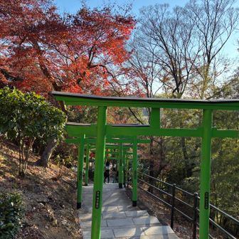 緑の鳥居はなんの意味だったかな？
