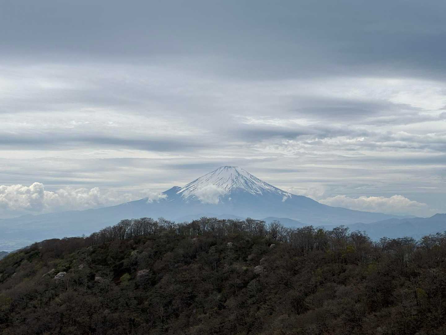 富士山見れて
テンション上がるぅ