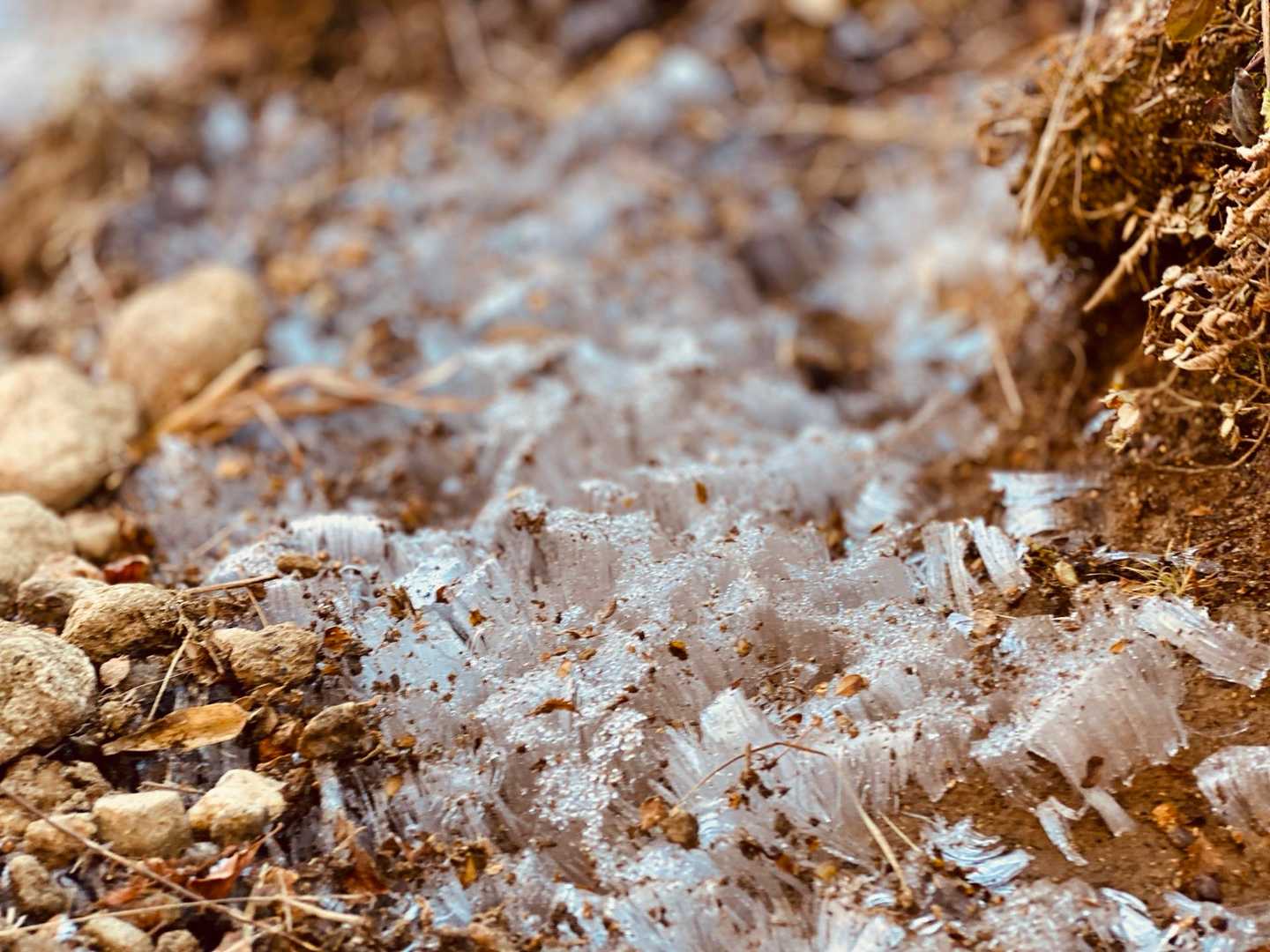 冬がすこーし❄️