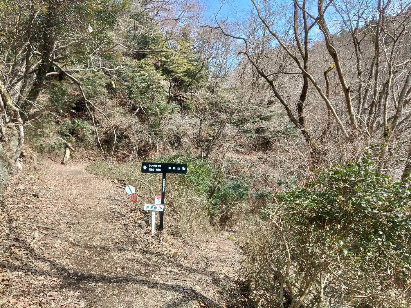 左：ミツマタ群生地経由 青貝山。
右：青貝山経由 ミツマタ群生地。
要はループしてますが、先に青貝山を目指します。