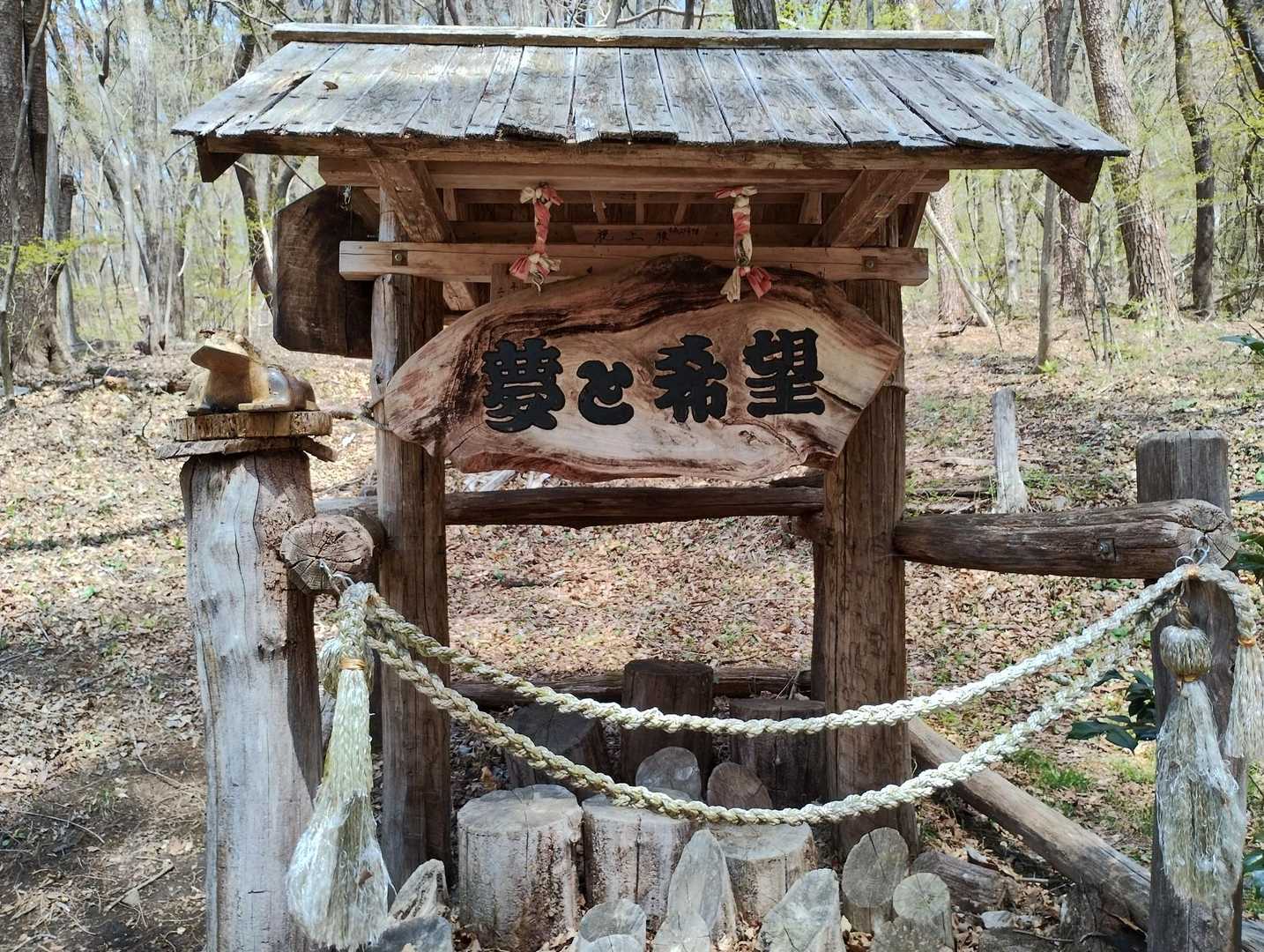 夢と希望…素敵なワードですね
