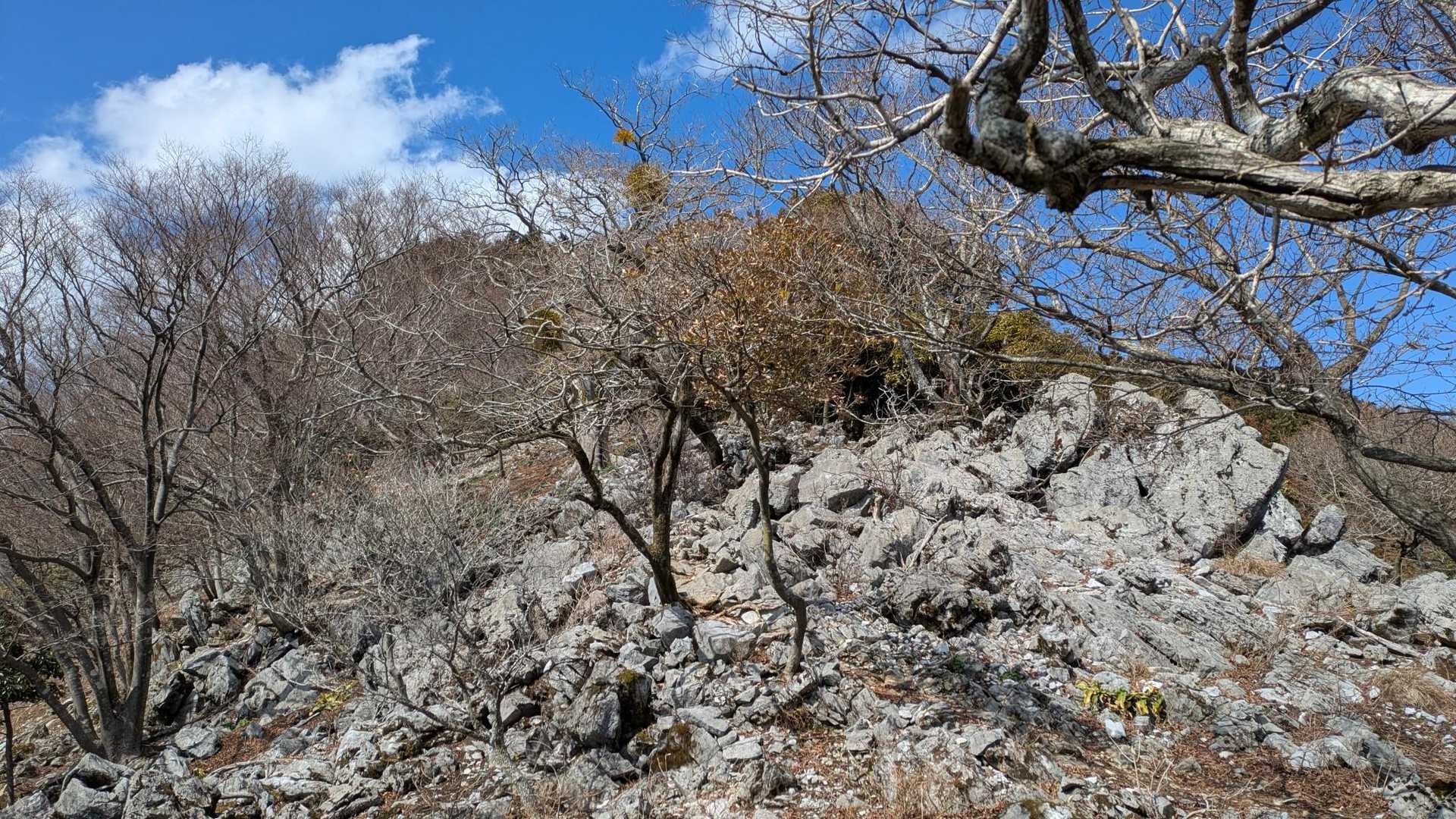 丸山 往復コースの写真