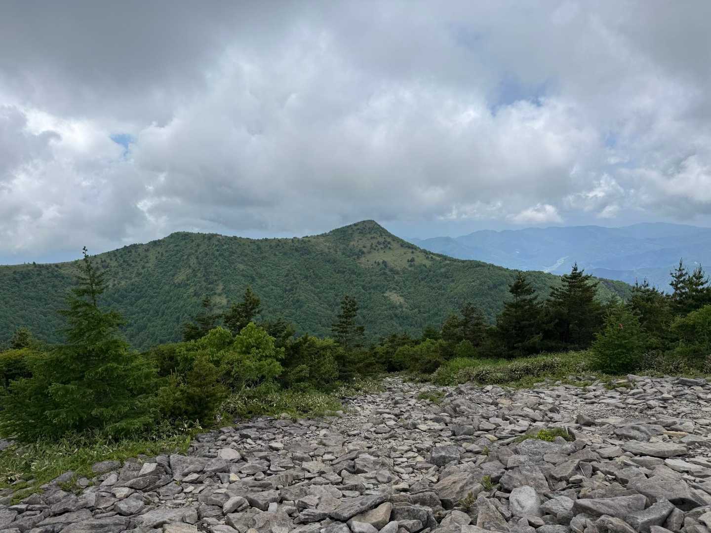 湯ノ丸山の後にあの山に登りたかったけど、登り返しがたくさんなので、旦那に嫌がられ、挫折笑
また今度〜