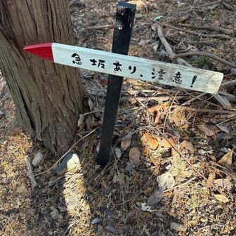 転ばないように気合い入れて下ってくよー🏃‍♀️💨