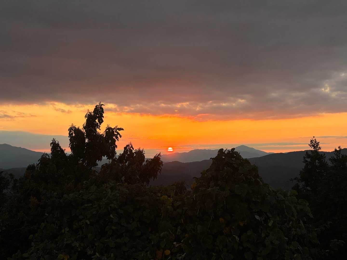 城山登山口-城山 往復コースの写真