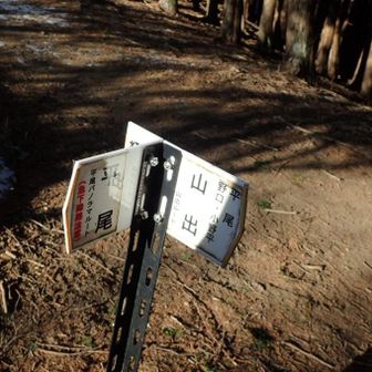分岐。折角なので、東峰へ