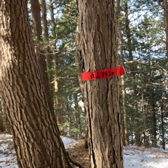 山頂到着🙌少し前までは面白い山頂標識があったみたいですが、それは見当たりませんでした・・・気になる方は他の方の山行記録を見て下さい😁