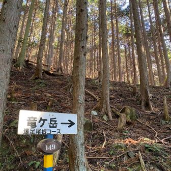 林道から上がります。
なかなか急登とは聞いていましたが
整備された歩きやすい路。
ありがたいことです。