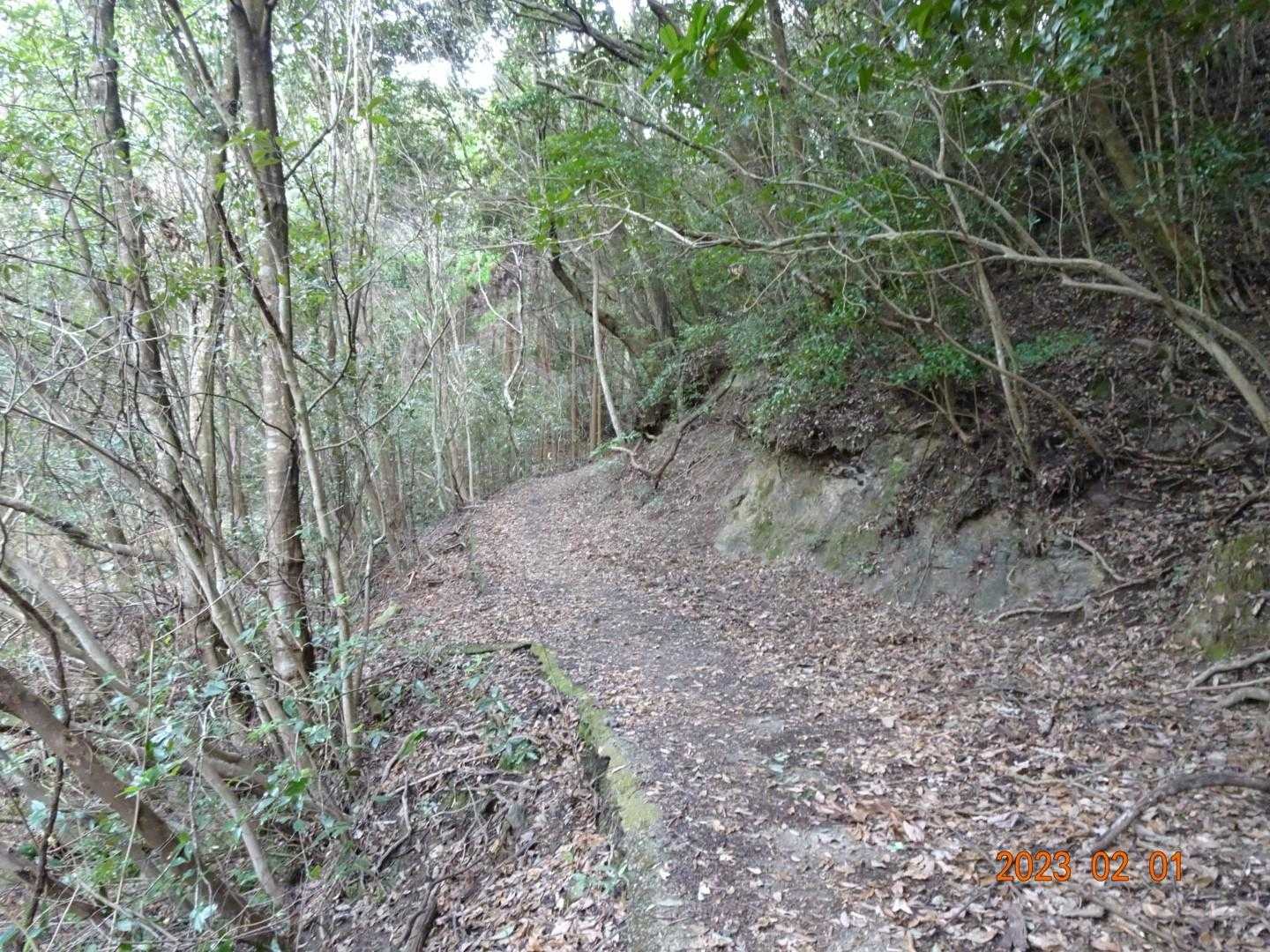 太郎丸・次郎丸嶽 | 山頂の絶景とライオン岩を楽しめる天草の兄弟岳コースの写真