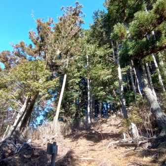 相の浦口女人堂跡で休憩し、この先の鉄塔前広場からの展望を期待して登ったけど、全然展望見られなかったぞ！！