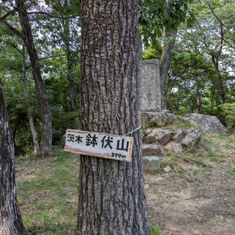鉢伏山
