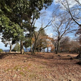 千畳敷。広いです。