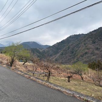 バス降車後、一時間ほど車道。
小鳥のさえずりに、うっとり🥰