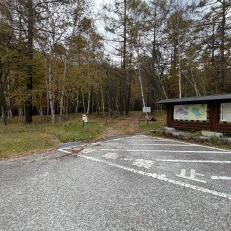 登山口はゲートの先